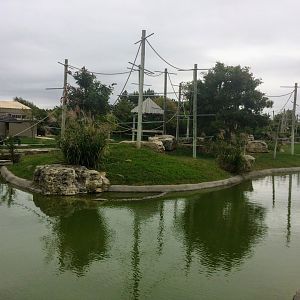 Empty island exhibit