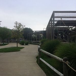 View of primate enclosures