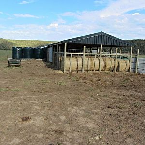Facilities at Cape Buffalo Breeding Centre