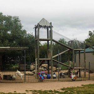 Petting Yard for Domestic Goats