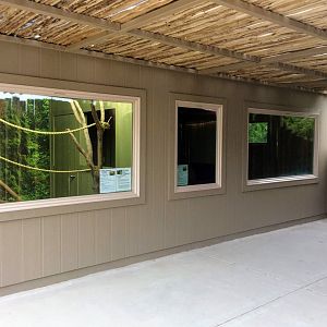 Troublemaker's Cove - Sloths & Armadillos