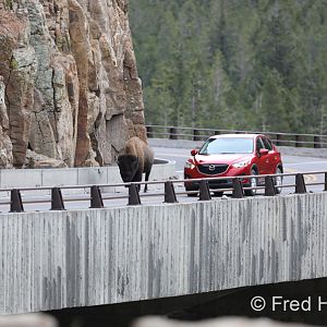 slower traffic keep right