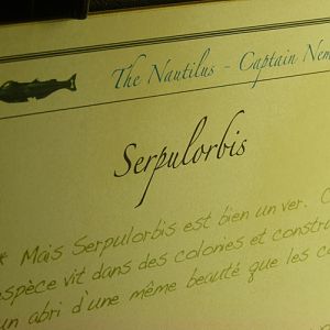 Imitation of a Captain Nemo's letter about worm-snail
