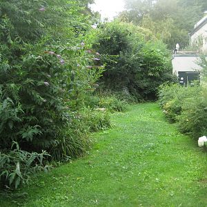 Cologne Zoo - Walkthrough aviary