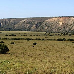 Overview of Amakhala Private Game Reserve