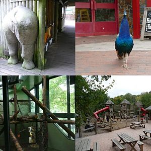 Zoo attractions