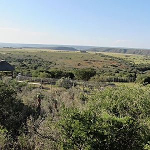 View Across to Shamwari Private Game Reserve