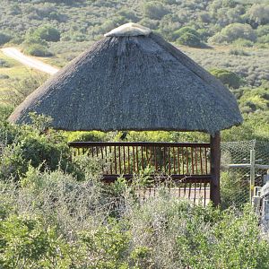 Example of Viewing Shelters