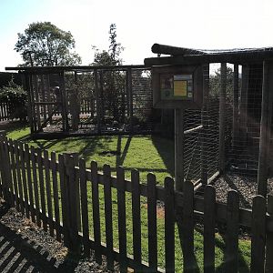 Aviaries