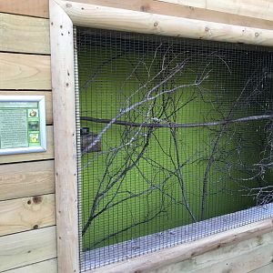 Aviary within Endeavour