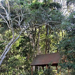 General View of Monkeyland