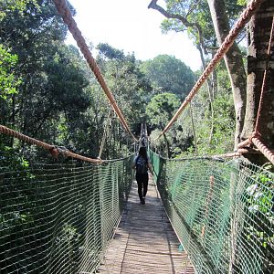 Infamous Swinging Bridge