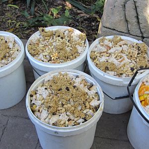 Primate Diet Buckets...