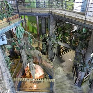 Amazon River exhibit