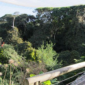 View Inside Massive Walk-through Aviary