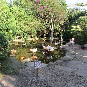 Second Waterfowl Pond