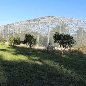 Aviaries for Birds of Private Owners