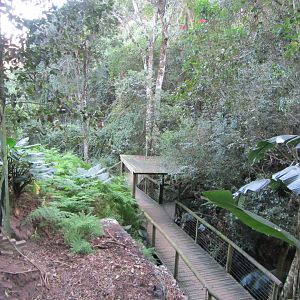 View Inside Massive Walk-through Aviary