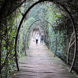 View Inside Massive Walk-through Aviary