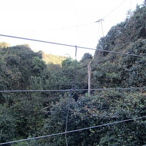 View Inside Massive Walk-through Aviary