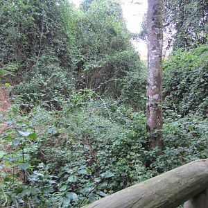 View Inside Massive Walk-through Aviary