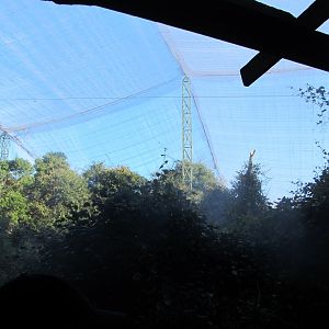 View Inside Massive Walk-through Aviary