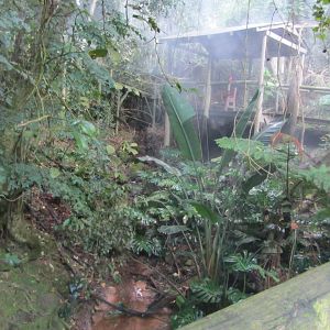 View Inside Massive Walk-through Aviary
