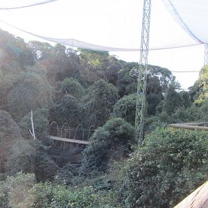 View Inside Massive Walk-through Aviary