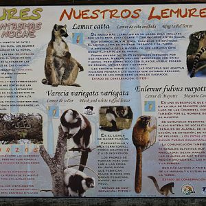 Lemur Walkthrough Sign