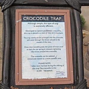 Problem Crocodile Trap Signage