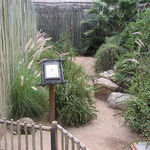Radiated Tortoise Exhibit