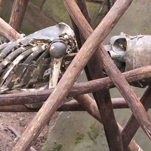 Valley of Ancients Theming