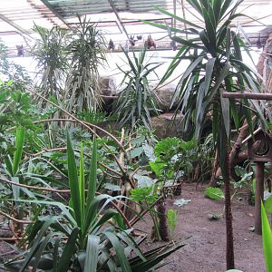 Valley of Ancients Aviary