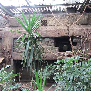 Valley of Ancients Aviary