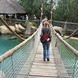 Electronic Moving Bridge over First Nile Crocodile Exhibit