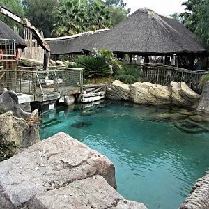 Crocodile Dive Cage in First Nile Crocodile Exhibit