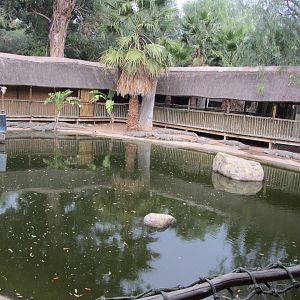 Second Nile Crocodile Exhibit