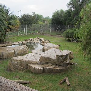 Tiger Exhibit