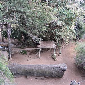 African Leopard Exhibit