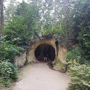 Entrance "Badger-grotto"