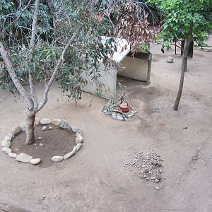 Bennett's Wallaby Walk-through Exhibit