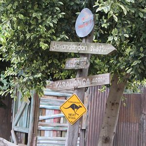 Bennett's Wallaby Walk-Through Exhibit Detail
