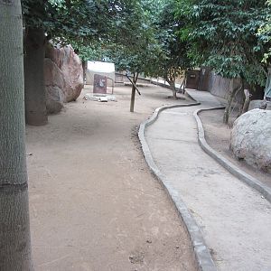 Bennett's Wallaby Walk-Through Exhibit