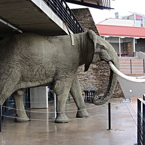 Elephant Statue