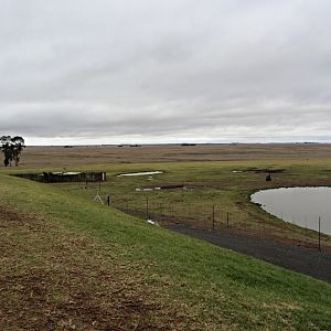 Animal Pasture at Alzu Petroport