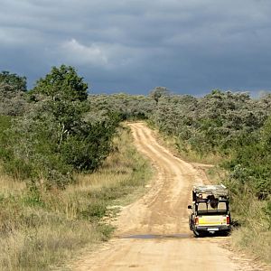 Heading Out on Safari