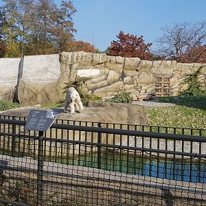 New polar bear enclosure