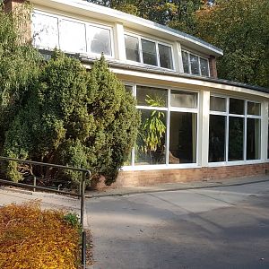 Pygmy hippopotamus house