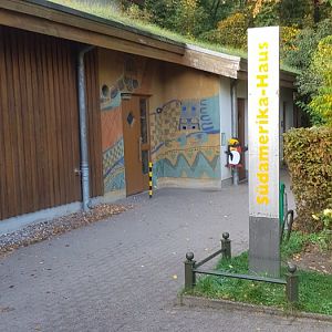 South American house