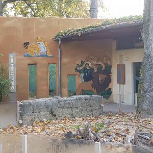 Jaguar, lion and meerkats house